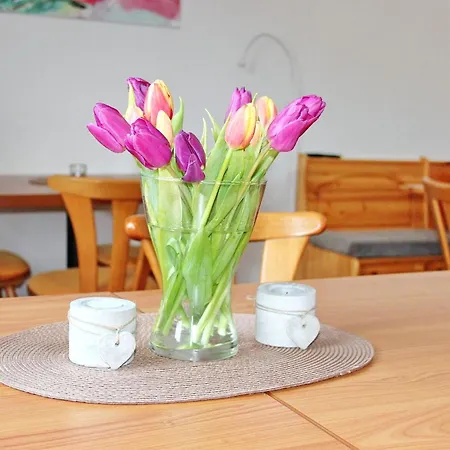 게스트하우스 An Der Kamske, Dz 3